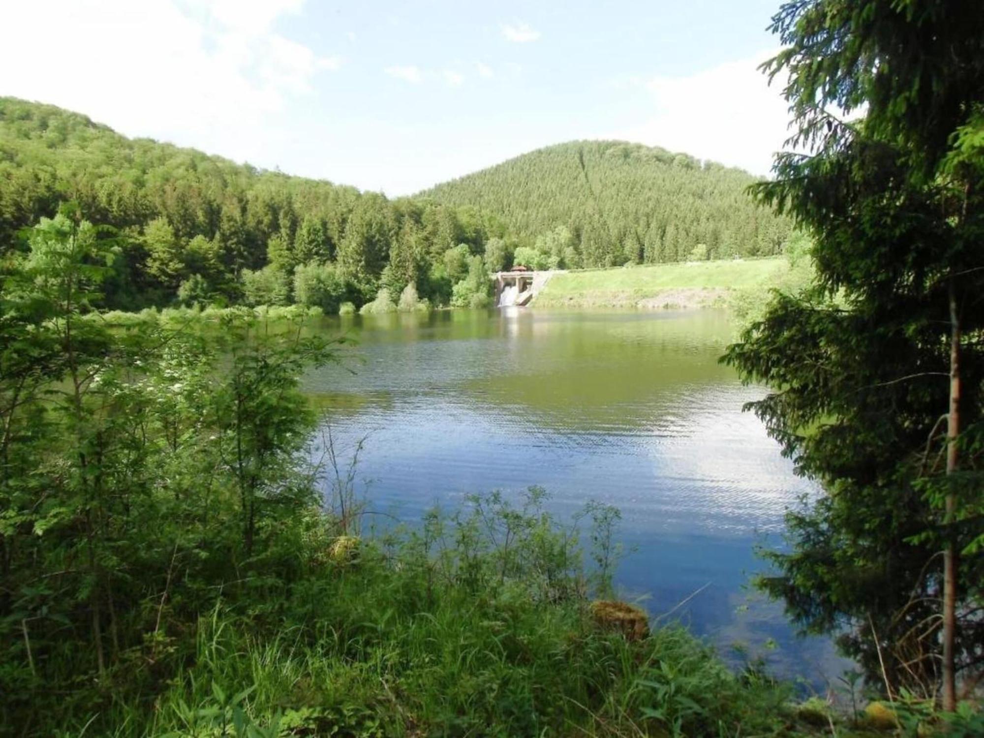 Detached Holiday Residence In The Wonderfully Beautiful Harz Kamschlacken المظهر الخارجي الصورة