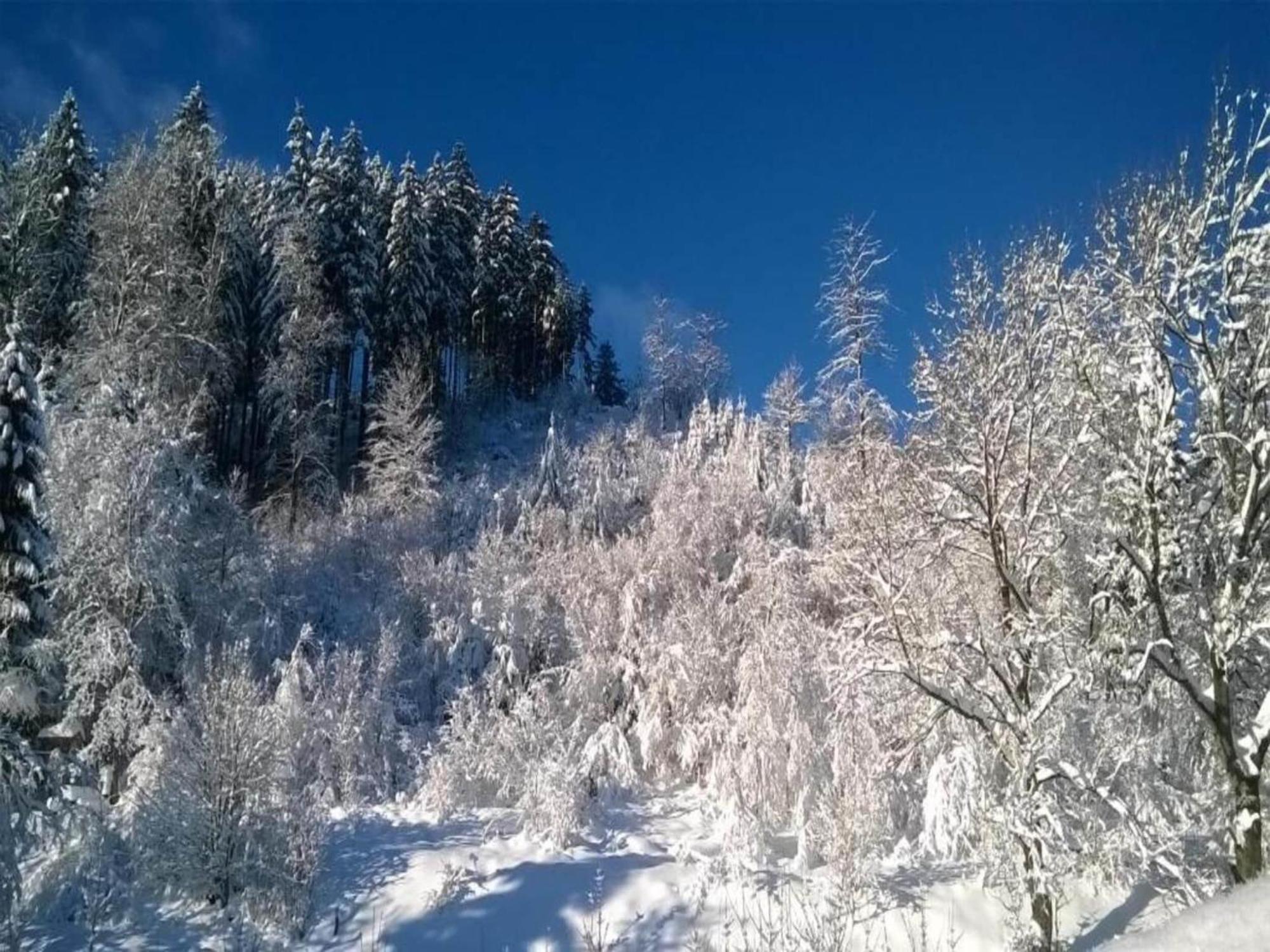 Detached Holiday Residence In The Wonderfully Beautiful Harz Kamschlacken المظهر الخارجي الصورة