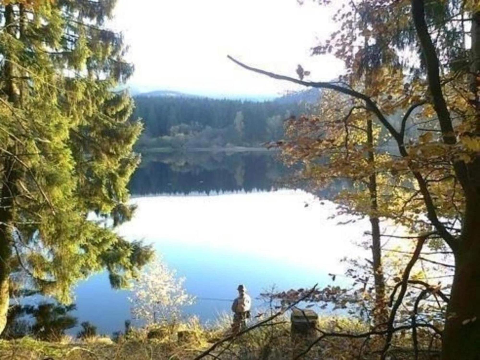 Detached Holiday Residence In The Wonderfully Beautiful Harz Kamschlacken المظهر الخارجي الصورة