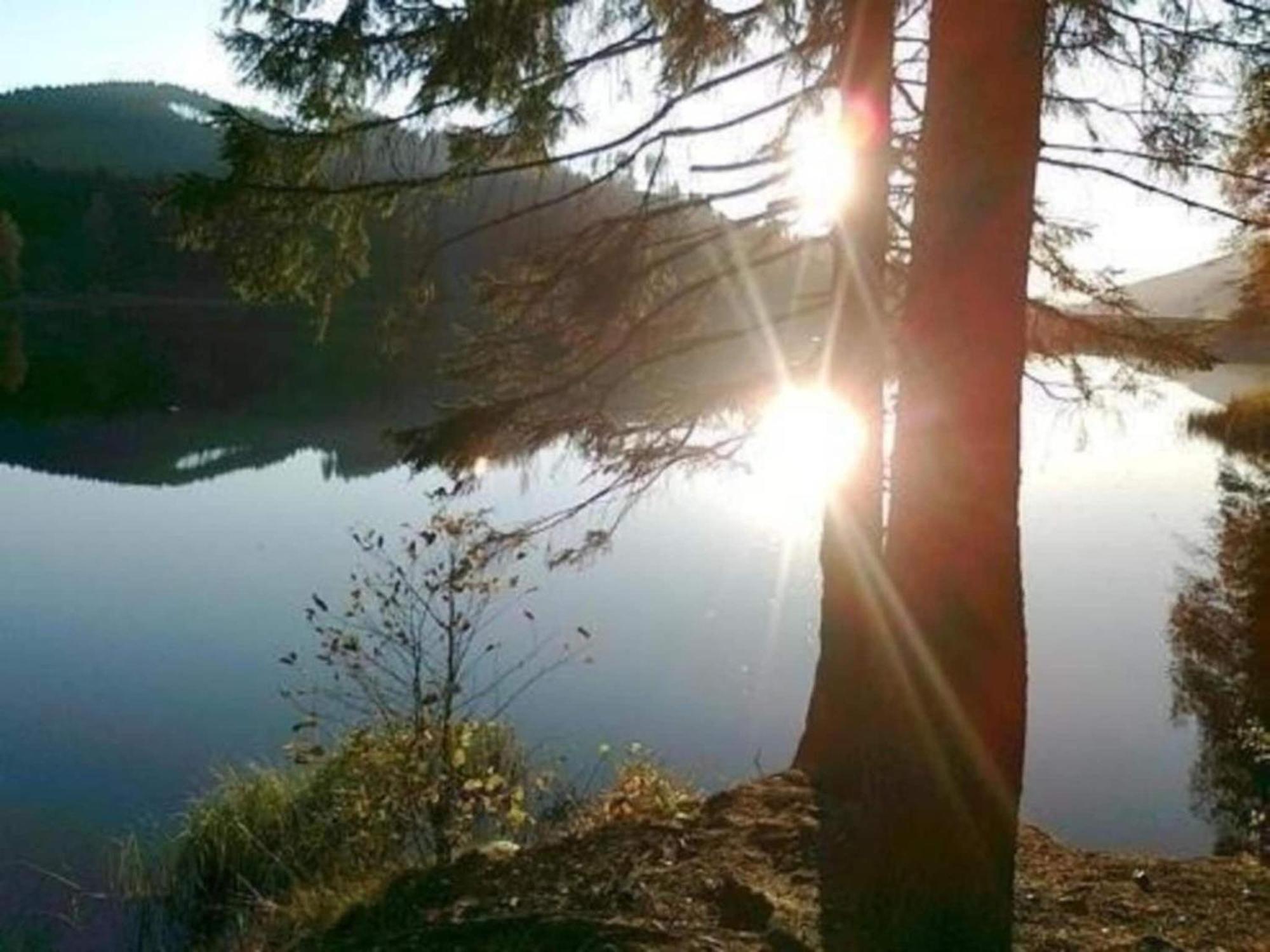 Detached Holiday Residence In The Wonderfully Beautiful Harz Kamschlacken المظهر الخارجي الصورة
